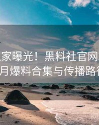 0105. 独家曝光！黑料社官网2018年12月爆料合集与传播路径