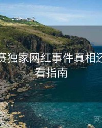 每日大赛独家网红事件真相还原，必看指南