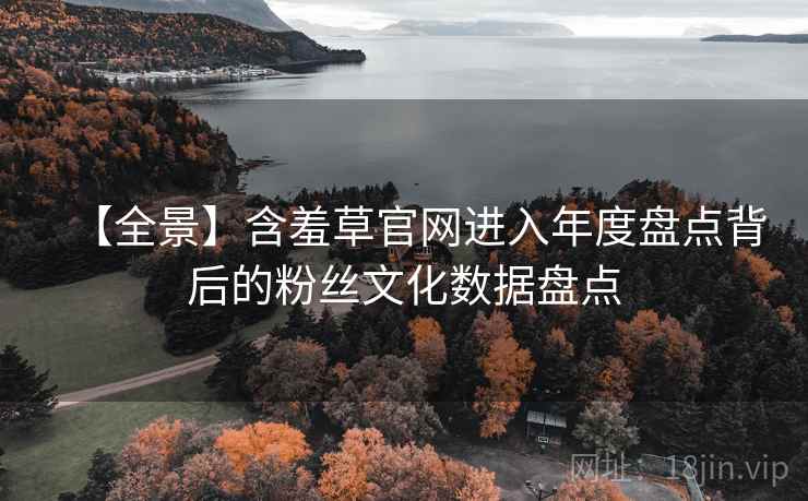 【全景】含羞草官网进入年度盘点背后的粉丝文化数据盘点
