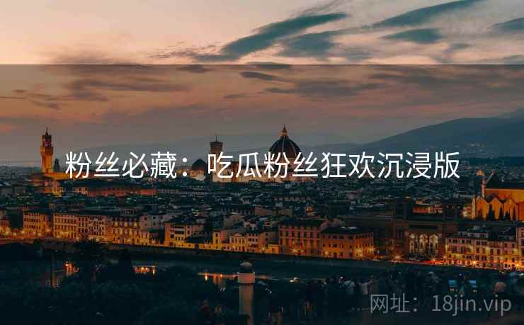 粉丝必藏：吃瓜粉丝狂欢沉浸版