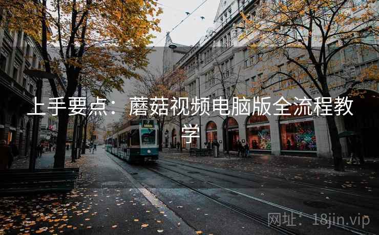 上手要点：蘑菇视频电脑版全流程教学