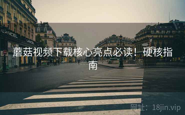 蘑菇视频下载核心亮点必读！硬核指南